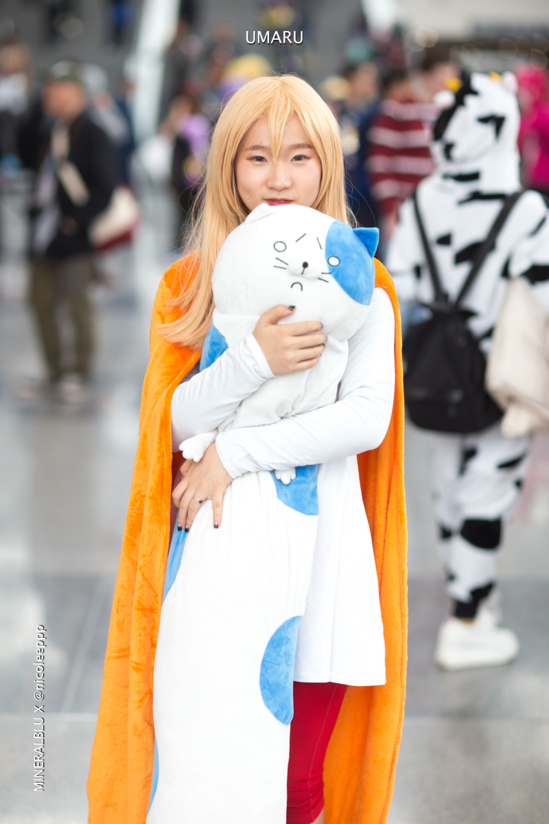 Illustration for article titled Our Favorite Cosplay Photos From Anime NYC 2018